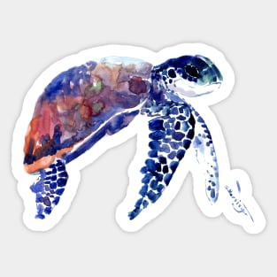 Sea turtle Sticker